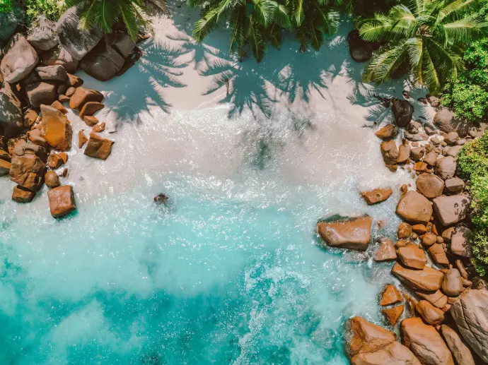 Aerial view of a beautiful, tropical beach